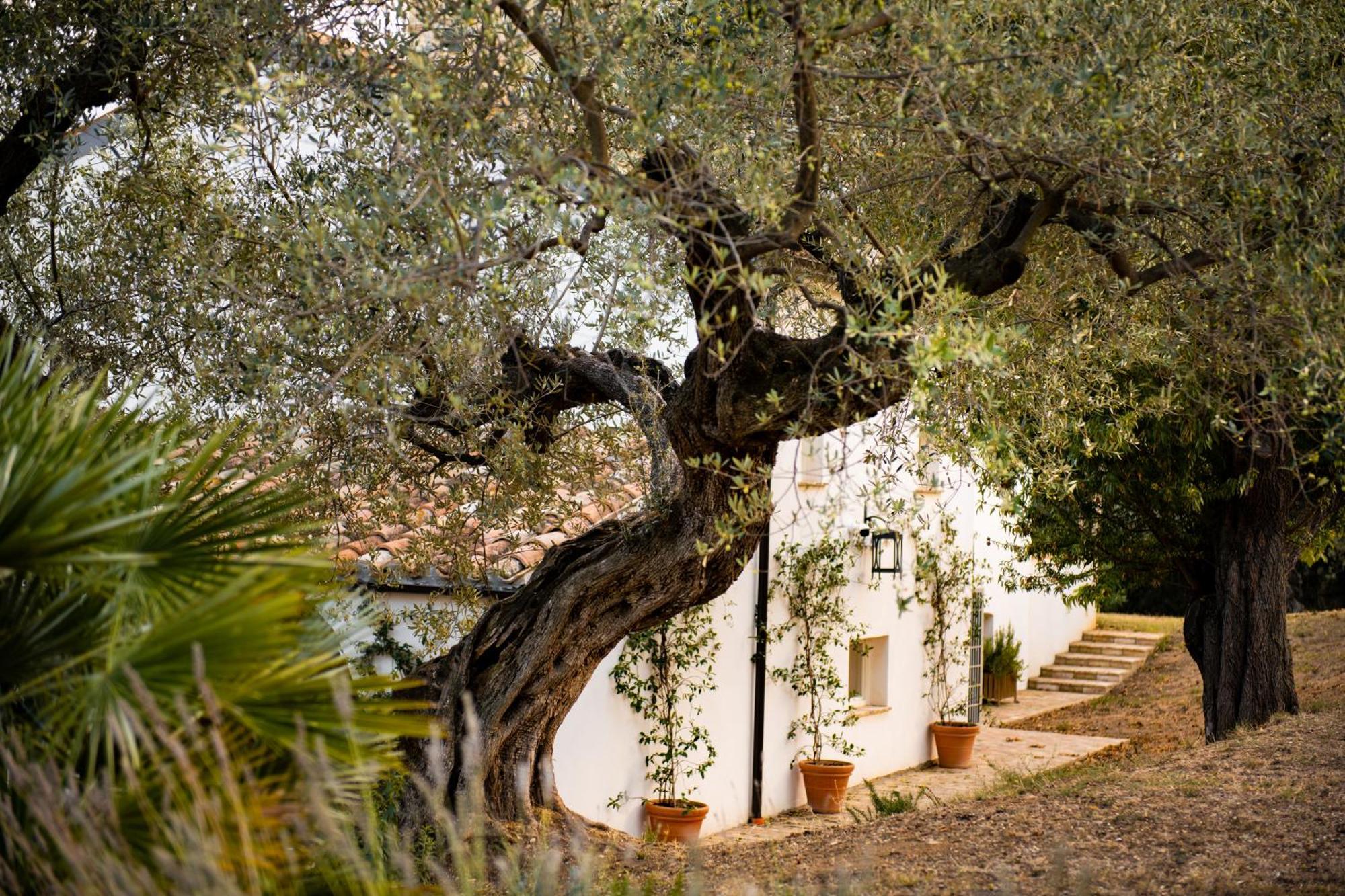 Casale Delle Lavande Читта-Сант'Анджело Екстер'єр фото