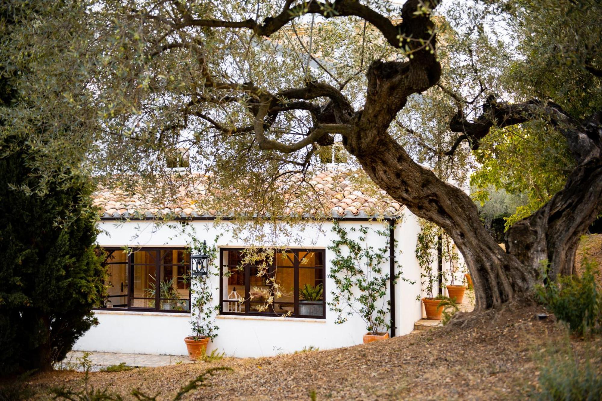 Casale Delle Lavande Читта-Сант'Анджело Екстер'єр фото